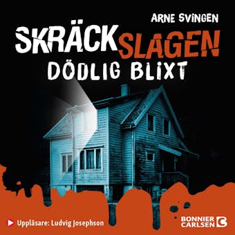 Dödlig blixt - Arne Svingen