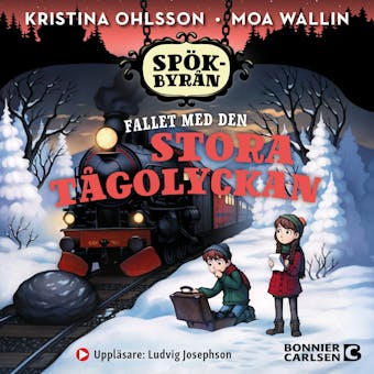 Fallet med den stora tågolyckan - Kristina Ohlsson