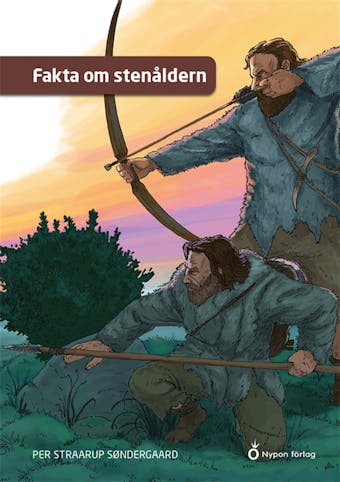 Fakta om stenåldern - Per Straarup Søndergaard
