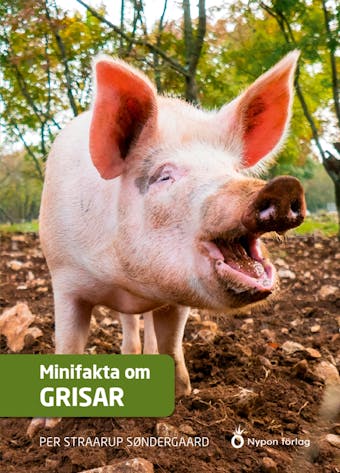 Minifakta om grisar - Per Straarup Søndergaard