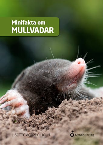 Minifakta om mullvadar - Lisette Aagerbo Holm
