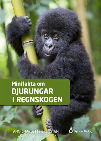 Minifakta om djurungar i regnskogen - Ann-Charlotte Ekensten