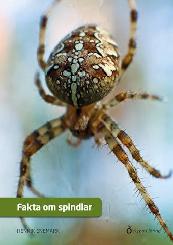 Fakta om spindlar - Henrik Enemark