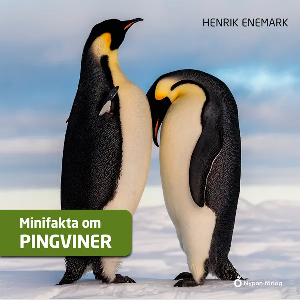 Minifakta om pingviner