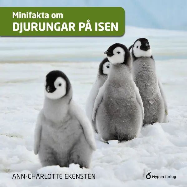 Minifakta om djurungar på isen