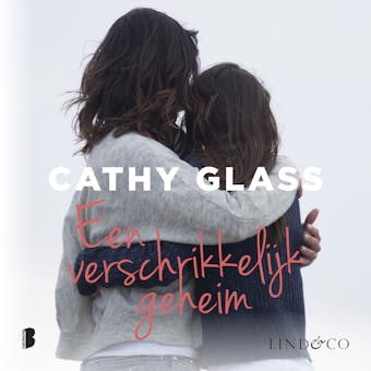 Een verschrikkelijk geheim - Cathy Glass