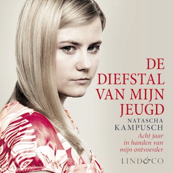 De diefstal van mijn jeugd