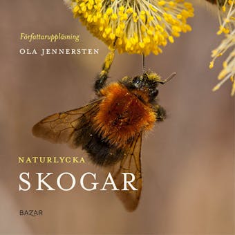 Naturlycka - Skogar - Ola Jennersten