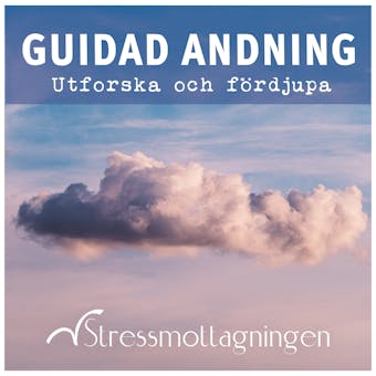 Guidad andning - Utforska och fördjupa - Stressmottagningen