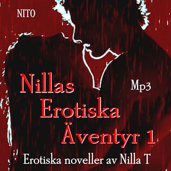 Nillas Erotiska Äventyr 1 : Erotiska noveller  -  Erotik - Nilla T