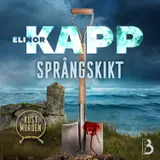 Omslag till Språngskikt