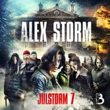 Omslag till Julstorm: Lucka 7