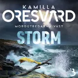 Omslag till Storm