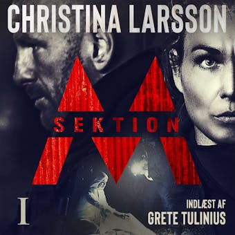 Sektion M I