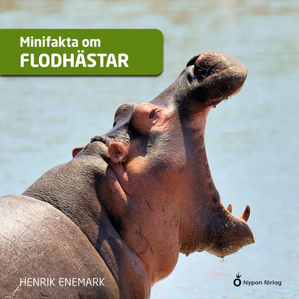 Minifakta om flodhästar