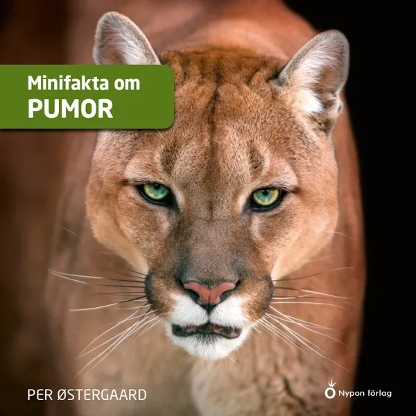 Minifakta om pumor