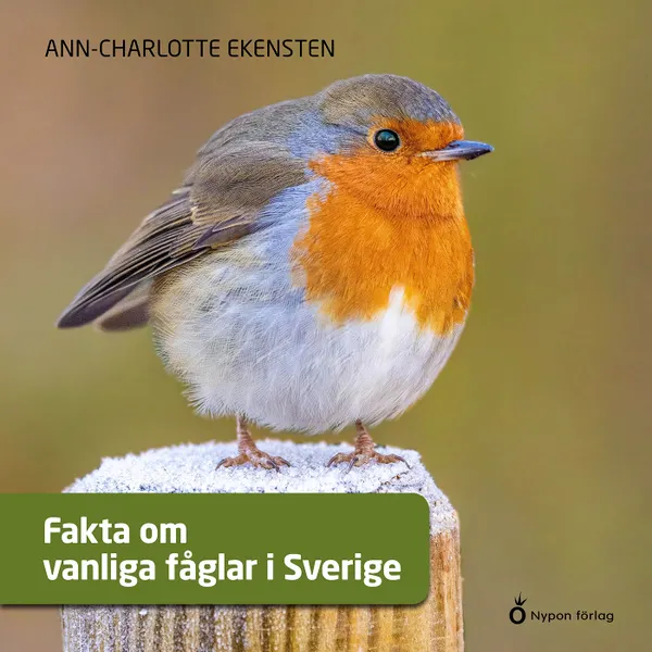 Fakta om vanliga fåglar i Sverige