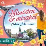 Omslag till Missöden och mirakel