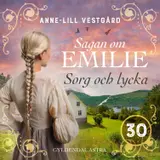 Omslag till Sorg och lycka