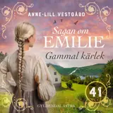 Omslag till Gammal kärlek