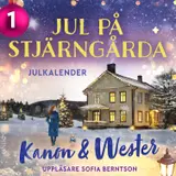 Omslag till Jul på Stjärngårda: Lucka 1