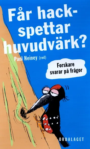 Får hackspettar huvudvärk?