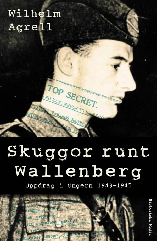 Skuggor runt Wallenberg