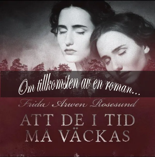 Att de i tid må väckas - om tillkomsten av en roman
