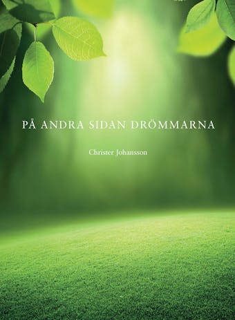 På andra sidan drömmarna - Christer Johansson