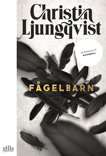 Fågelbarn - Christin Ljungqvist