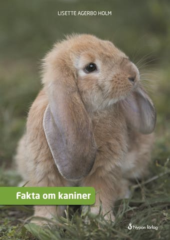 Fakta om kaniner - Lisette Agerbo Holm