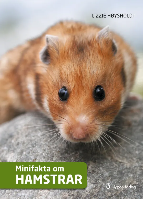Minifakta om hamstrar