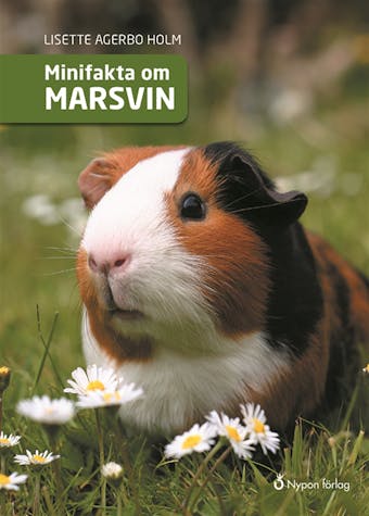 Minifakta om marsvin - undefined