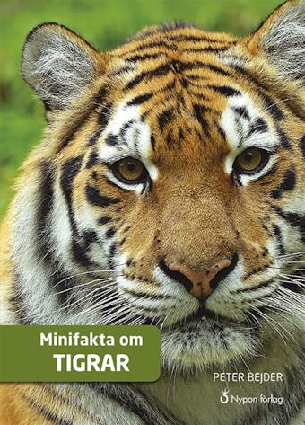 Minifakta om tigrar - undefined