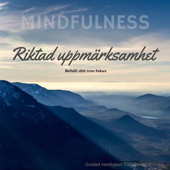 Riktad Uppmärksamhet - Camilla Gyllensvan