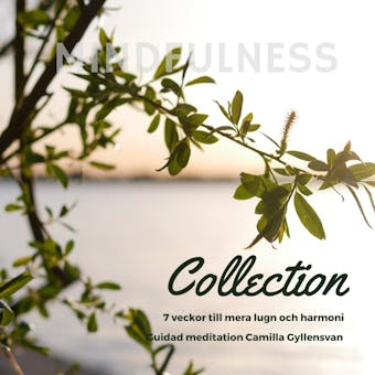 Mindfulness Collection - 7 veckor till mer lugn och harmoni - Camila Gyllensvan