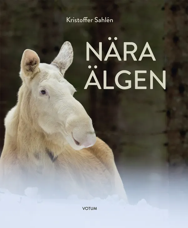 Nära älgen