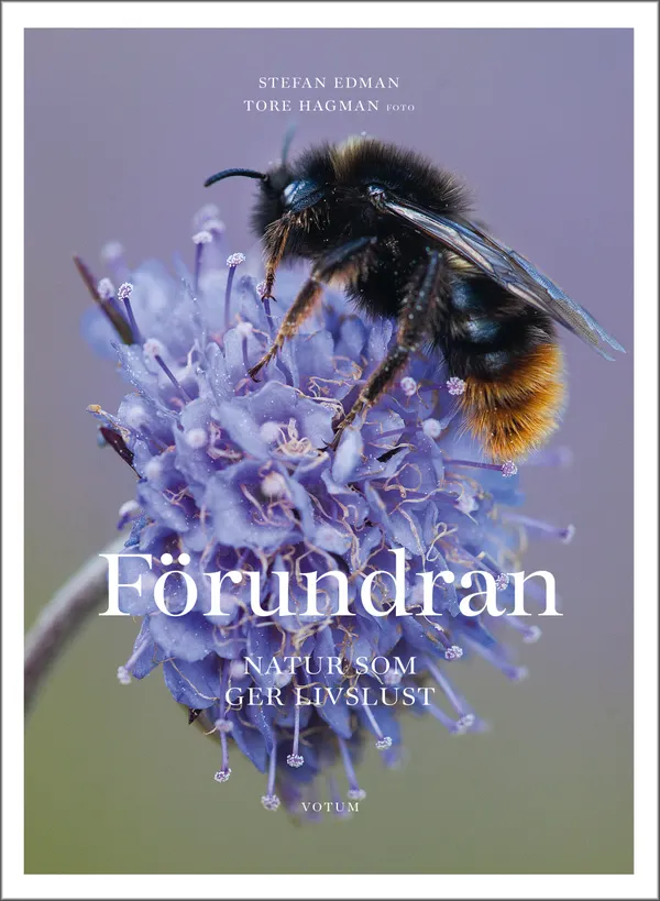 Förundran - Natur som ger livslust