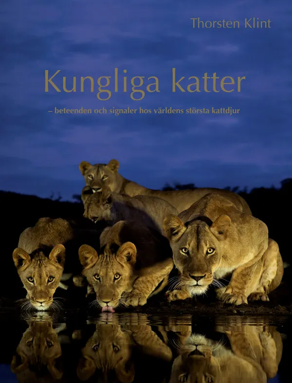 Kungliga katter : Beteenden och signaler hos världens största kattdjur