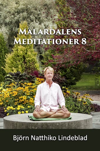 Mälardalens Meditationer 8 - undefined
