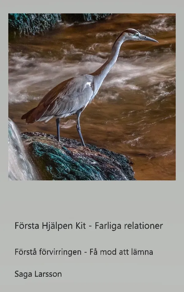 Första hjälpen kit : farliga relationer