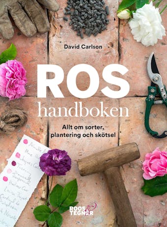 Roshandboken - David Carlson