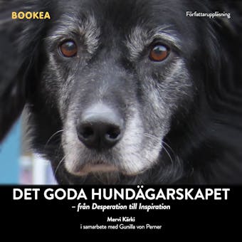 Det goda hundägarskapet: från desperation till inspiration - Gunilla Von Perner, Mervi Kärki
