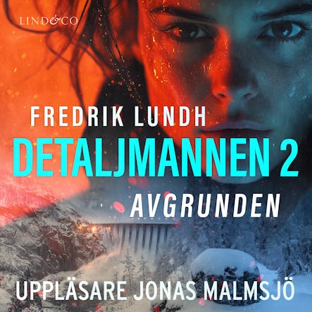 Detaljmannen 2: Avgrunden
