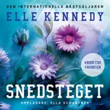 Omslag till Snedsteget