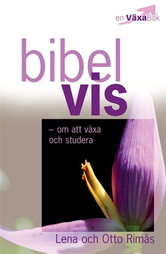 Bibelvis - om att växa och studera - undefined
