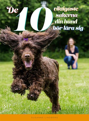 De 10 viktigaste sakerna din hund bör lära sig - undefined