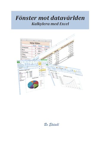 Fönster mot datavärlden. Kalkylera med Excel - Bo Ekdahl