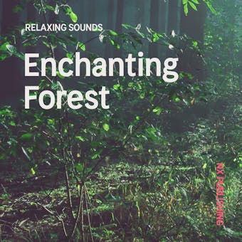 Enchanting Forest - Avslappning Sömn