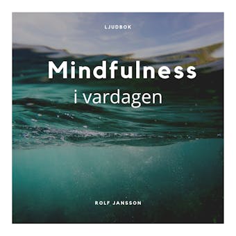 Mindfulness i vardagen - Rolf Jansson